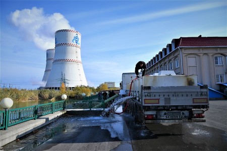 В водоём-охладитель Ростовской АЭС выпустили восемь тонн толстолобика и сазана